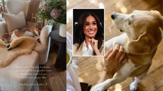 Sleepy Mia Steals the Show as Meghan Markle Shares Peaceful Glimpse of Home Life.jpg