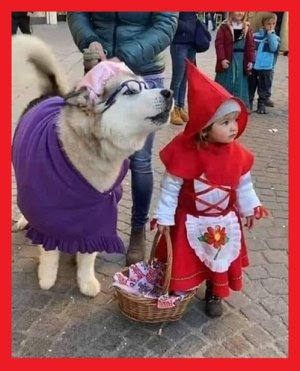 Halloween red riding hood grandma.jpg