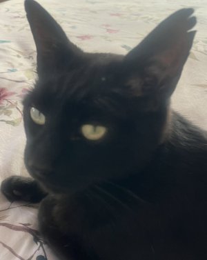 IMG_0948.jpeg