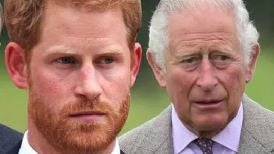Is a new royal comeback deal being discussed by Prince Harry and King Charles.jpg