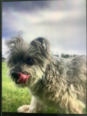 IMG_0901.jpeg