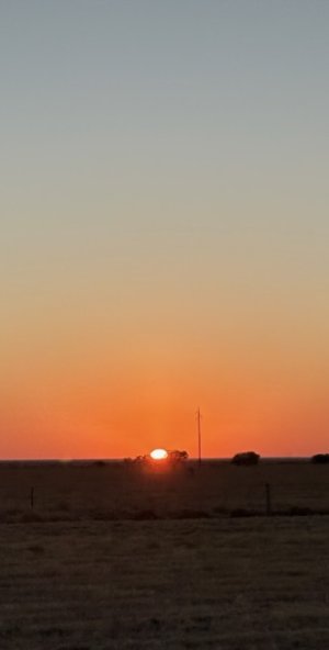 IMG_8190.jpeg