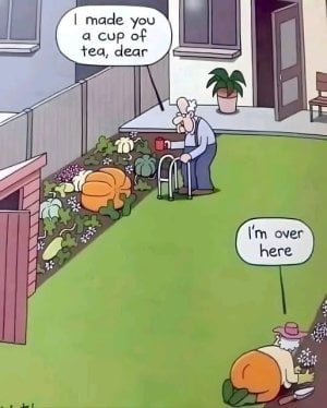 Joke (92).jpg