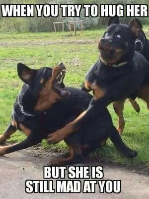 When You Try To Hug Her.jpg