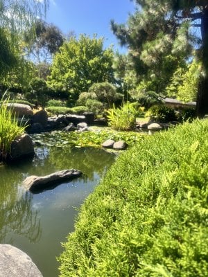 IMG_0964.jpeg