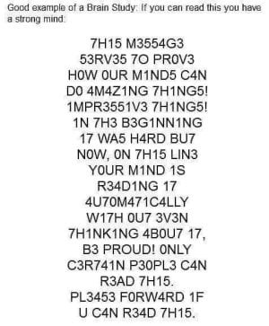 1759533549162.jpeg