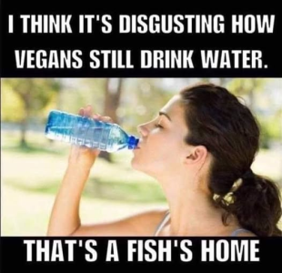 1759806927394.png
