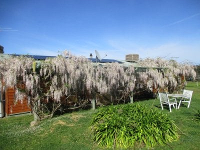 IMG_6783.JPG