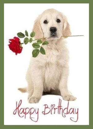 A happy Birthday1AA.jpg