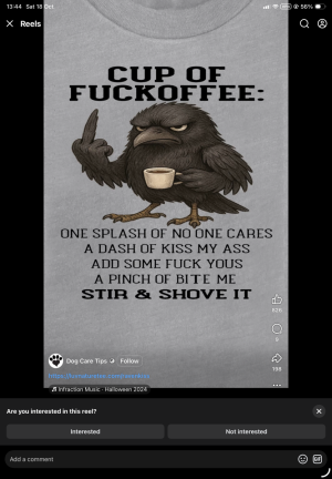 IMG_0897.png