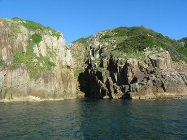 Cabage Tree Island.jpg