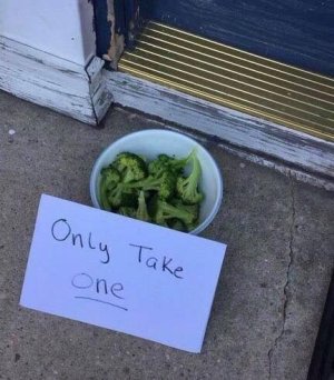 1760868717895.jpeg