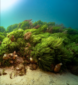 Screenshot 2025-10-29 at 11.35.15.png Screenshot 2025-10-29 at 11.35.15.png