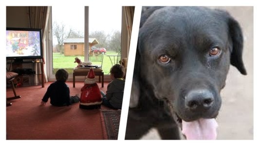 image riddle 301025.jpg