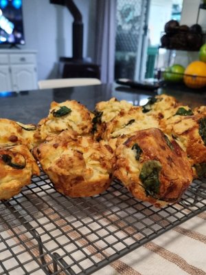 20251028_172305.jpg 20251028_172305.jpg