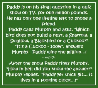 Paddy quiz cuckoo nest.jpg