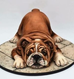 cake bulldog2.jpg