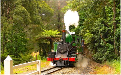 Puffing Billy.jpg