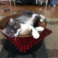 Margew
