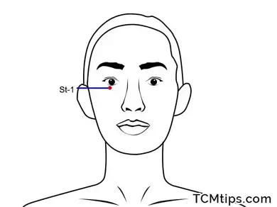 ST-1-Stomach-1-Cheng-Qi-Tears-Container.jpg