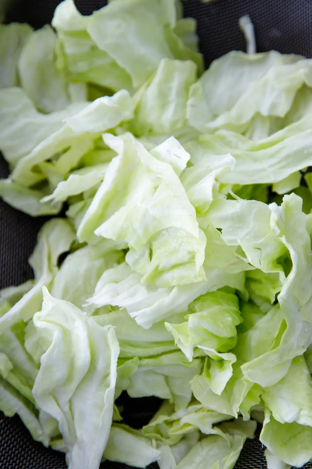 Chinese style cabbage stir fry|chinasichuanfood.com