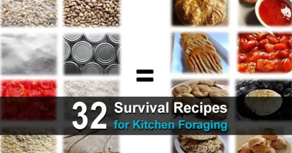 32 Survival Recipes for Kitchen Foraging