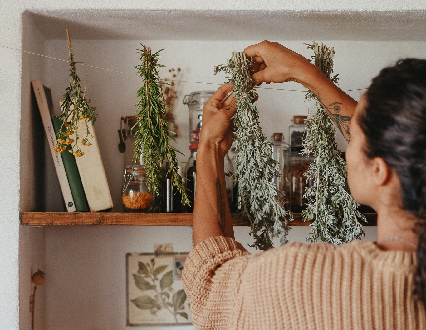 theherbalacademy.com
