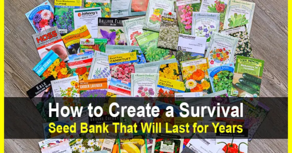 How to Create a Survival Seed Bank That Will Last for Years