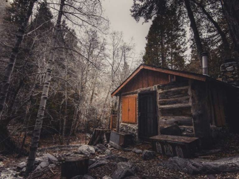 Read more about the article How to build an off grid cabin for free