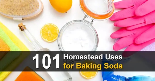 101 Homestead Uses for Baking Soda