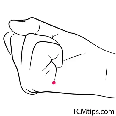 SI-3-Small-Intestine-3-Hou-Xi-Back-Stream.jpg