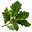 medivetus.com
