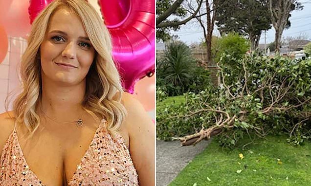 www.dailymail.co.uk