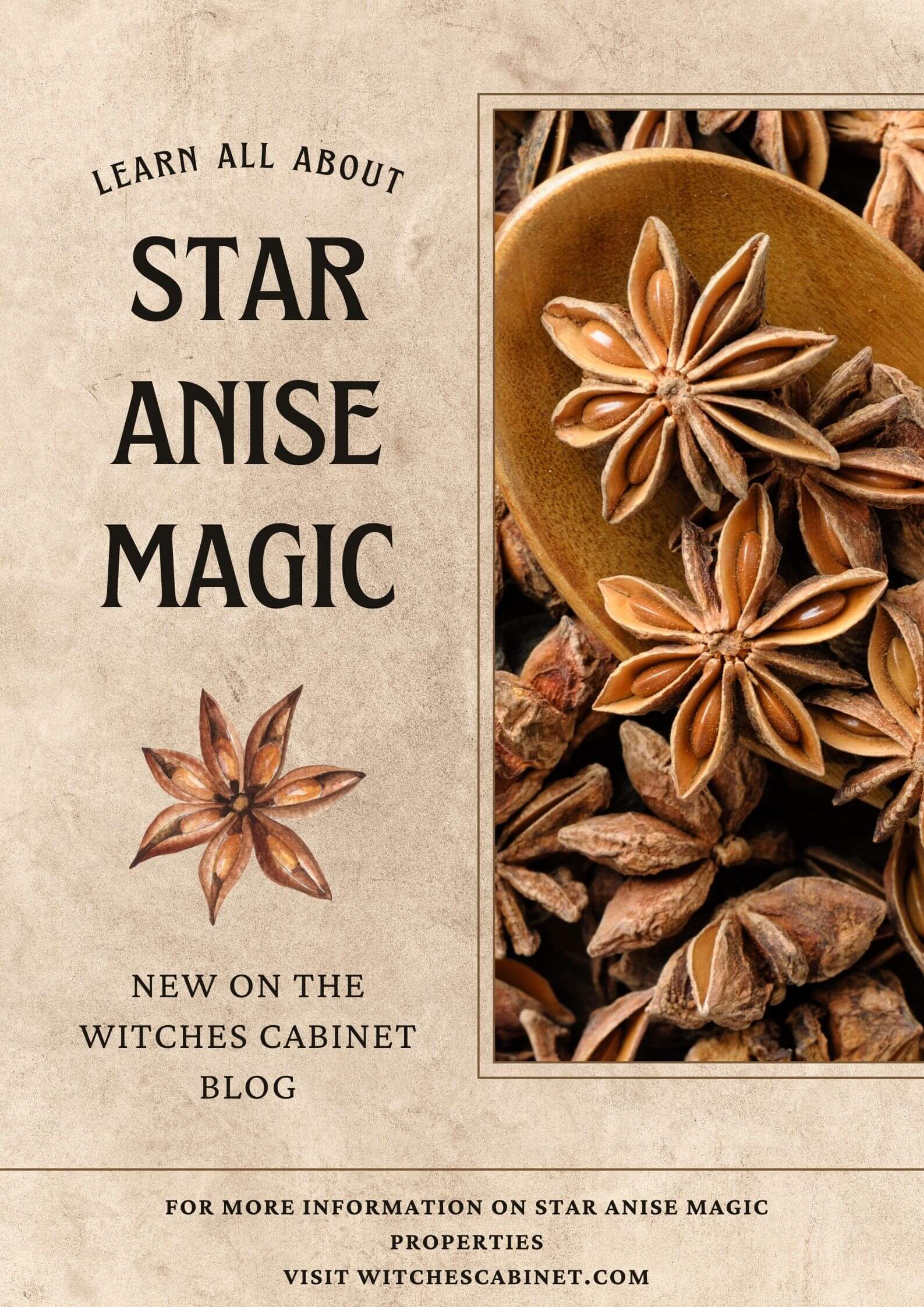 Star Anise Magic Properties