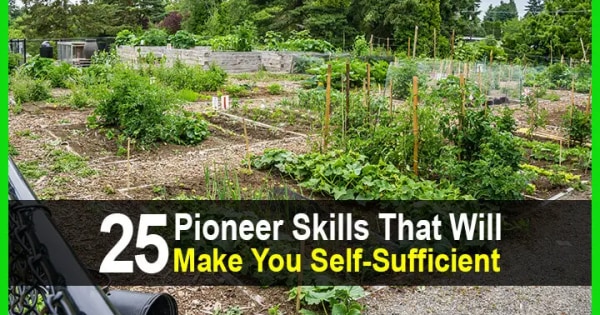 25 Pioneer Skills That Will Make You Self Sufficient