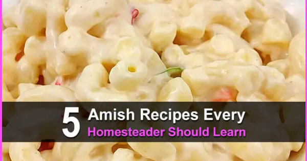 5 Amish Recipes Every Homesteader Should Learn