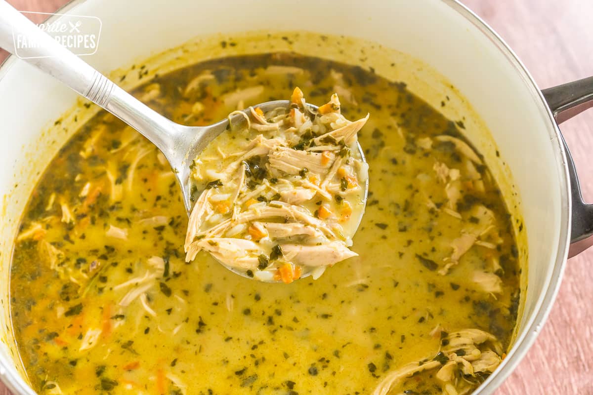 a ladle full of thai coconut soup