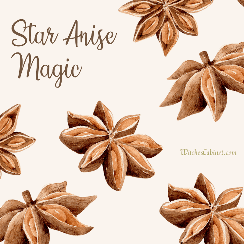 Star Anise Magic Properties