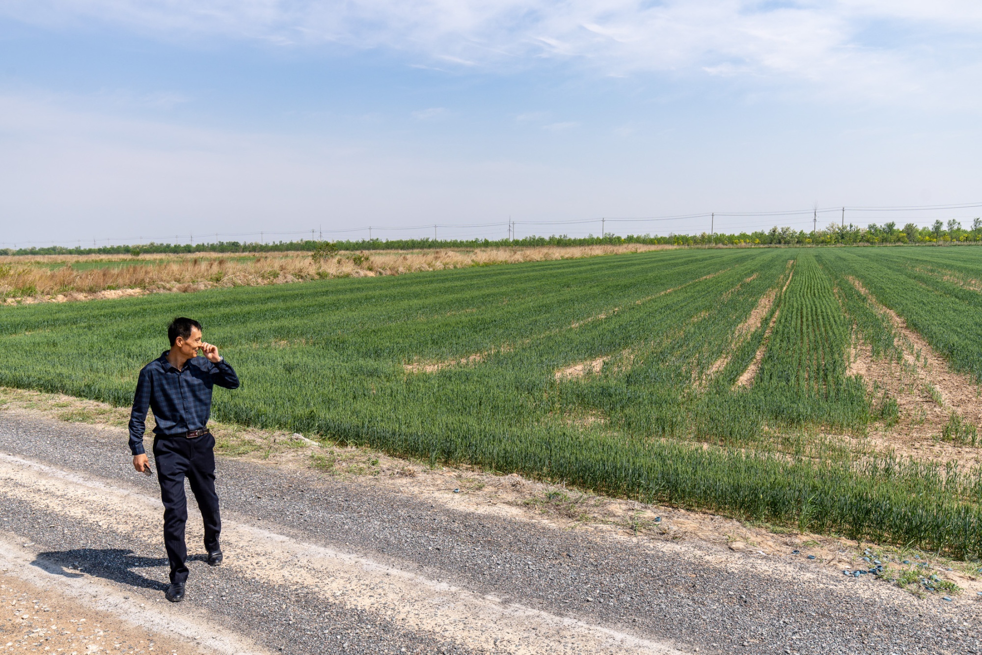 Xi痴 Campaign to Feed China Is Turning Wasteland Into Farms