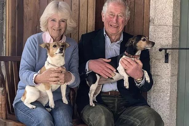 King Charles Honors Gabby as 'Dog of the Decade' in Touching Royal Visit King Charles Honors Gabby as 'Dog of the Decade' in Touching Royal Visit