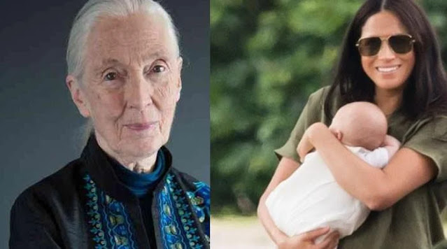 Jane Goodall Shares Special First Moments with Baby Archie Jane Goodall Shares Special First Moments with Baby Archie