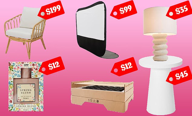 68968371-11887923-Kmart_Australia_released_hundreds_of_new_products_leaving_custom-a-3_1679453779794.jpg