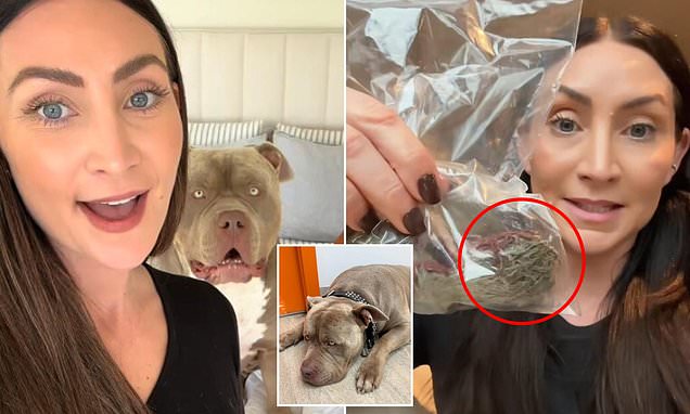 www.dailymail.co.uk