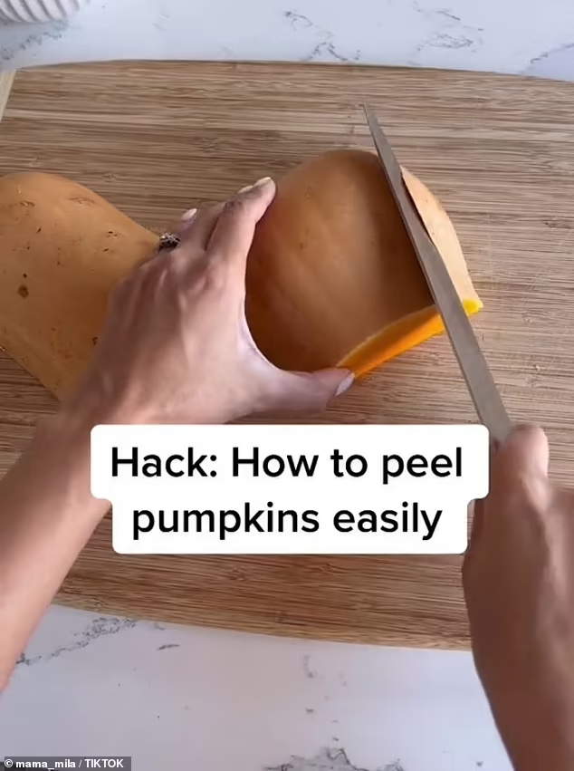 _sEUTCjxO9VdXWzR3xID9aXqOq6nixkn1ZMrcuR1n_Z8O-2304I1jTg6e6386kKrDlGxjcslllMn_cUNx4ygGQUuJ_T-dB9yHNRTWRSmKgbgtg7LmS0T97u7hqNnoFvph85QY5PPqFo2s1z-