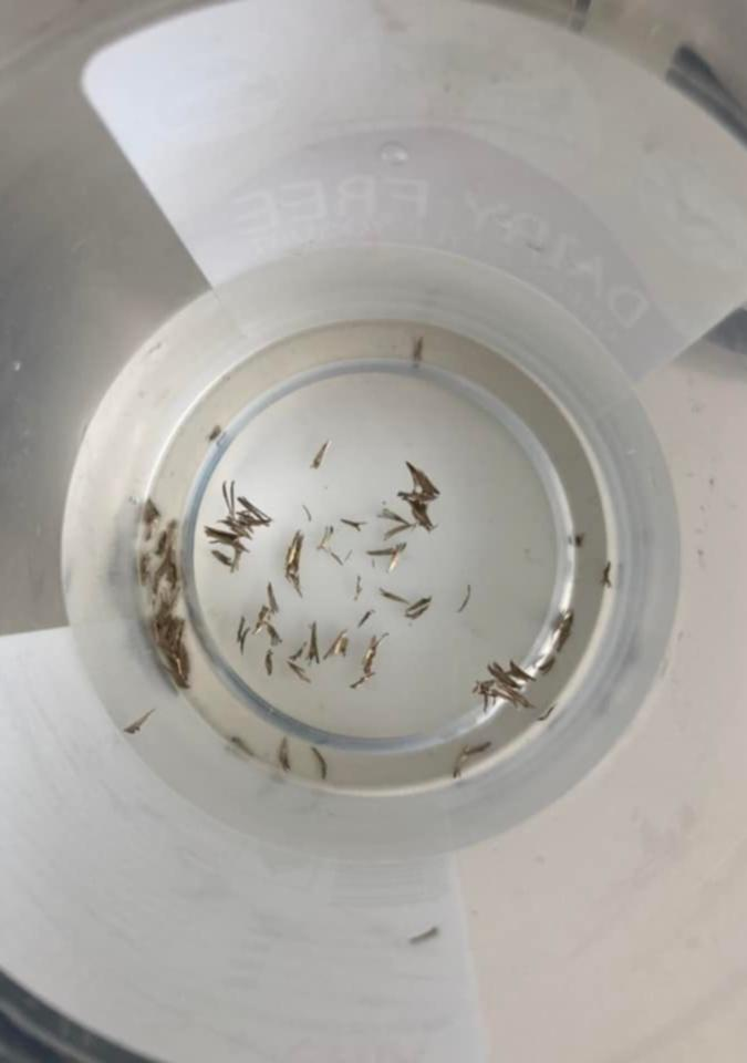 eX9ltHdG41qjTbdIkrf0joU-WanOv_-05xEsGwRUXwkG4hDxYfzMCaKvdIsobXleVE7PPlFKhHn1kgV2uK37TPB-ATFKU4hfETfmYiMynGx3K3cpYT4HVAW-J2UNvqpmHVLOaJ4