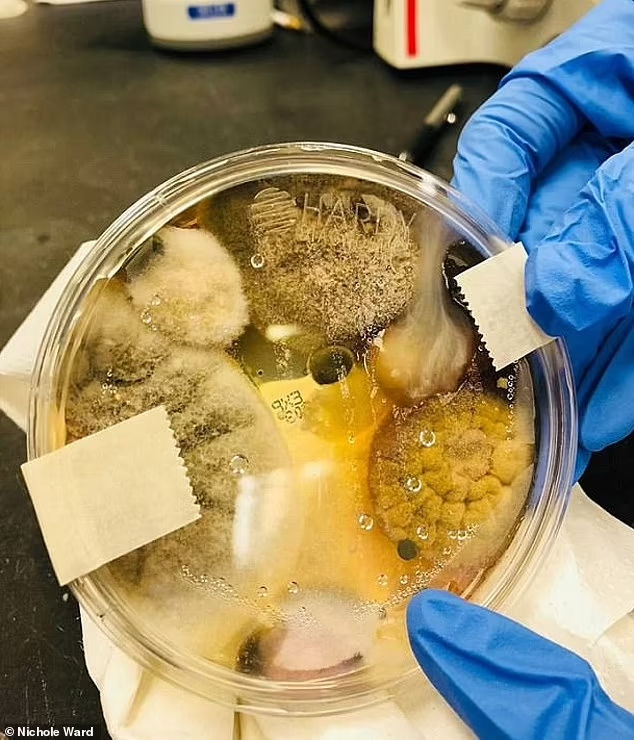 9vWUp0M4Ri9vtcJfB9EGWnfW2oPnFw9IRh_6AWh09BMeOSuy5HN5gaZafZ1m3-QOqrSg6BJ8uSdeqVgIwDZEMuoKIWZfsHz08p3rB_gKCV7635WmKiYiAO4S638CKs5qJZQtnovCwgyIvch5JoHiiQ