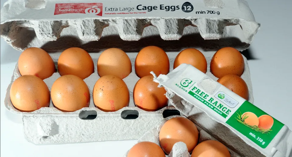 ajyZAFN-qLB77RP8pRPSILj2zICy0Dpt8Gb-8wAqVw-Tp5PiDzRjYRa0mTM2OhKe9dK2v6uplV1ZRnILwIwVUBCGh2yePcmsZtY5sjJZK9Iqj9sZO0mx79tjazHvba781ja87SAiyTJVHFPWFJ1Xhg