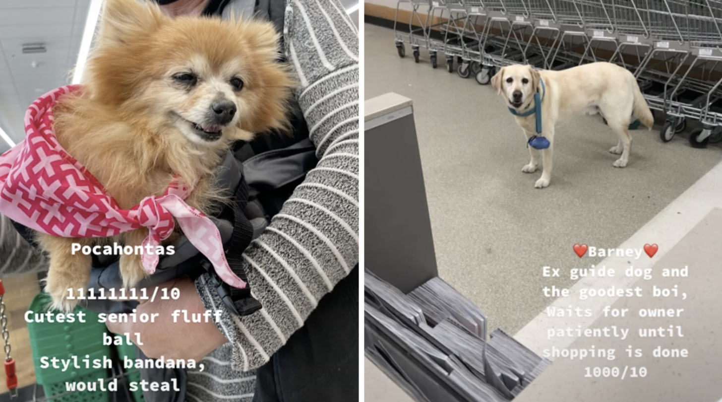 nU9cvTq97Ov62x4HL_eBHU8khGVwkDM9PCQHuU4sq3LWKZOpg0_l_3t5IRpUvQ2H448Xe8kna3g4QkxrMafKjClmv_oYoLhj_RL2l24Q0jElTbVIGdOosvEHRH3maX06EsHzTxVYs7p8TuvlMQ