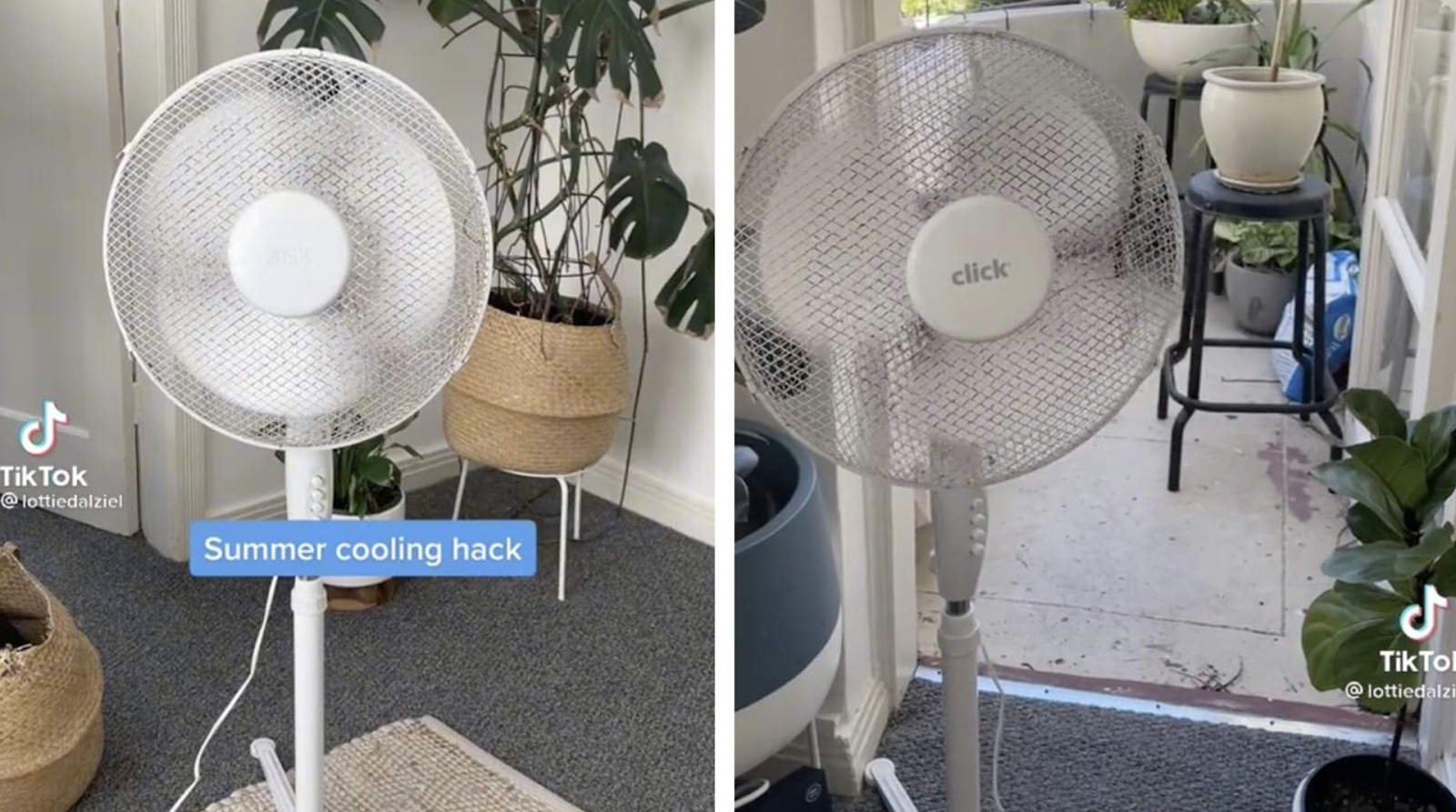 fDZgomZZENxU4lgQ_yrja1_RgRkzoKNnxhR2DmwfUXPHLntHB0i4er2SLLWRq8_eygO8cD4_3_1KluqFT6NhXuhX7Z9pq_MEWF-wMNm3PtuxVvjxw9cbEhDwZDM_XobF__3r24gD fDZgomZZENxU4lgQ_yrja1_RgRkzoKNnxhR2DmwfUXPHLntHB0i4er2SLLWRq8_eygO8cD4_3_1KluqFT6NhXuhX7Z9pq_MEWF-wMNm3PtuxVvjxw9cbEhDwZDM_XobF__3r24gD