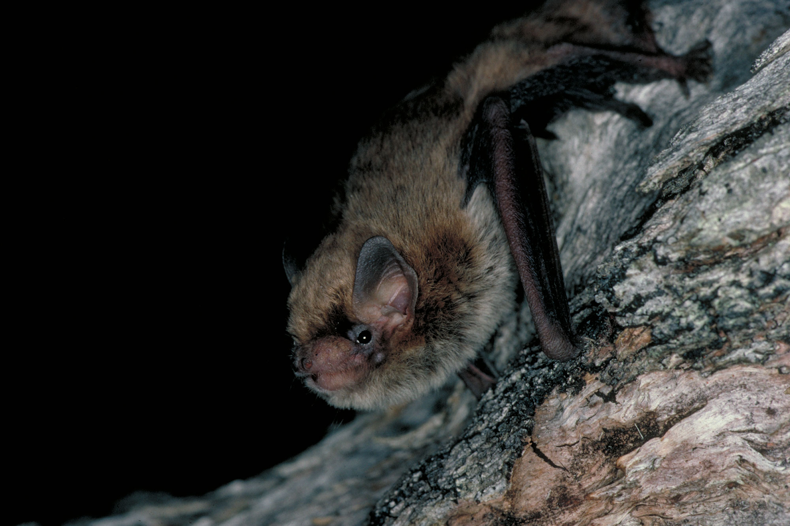 FwJE8g35N3sPe2deOwkPb50uUCMcWy-tq4bff3xfpChfXEjvP_JUoxNUM_CdkTx8rTa2JSQKsYI7-KV70Q_SBsw1Zy-NdEPRZI5hvvXLlN3Hg1SMndIJ4MEl4c6wiGDifvzEvip8grIfP5LVF5K2rVs